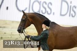 23R13_00944 thumbnail