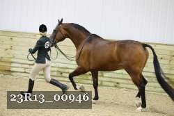 23R13_00946 thumbnail