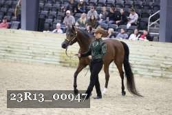 23R13_00947 thumbnail
