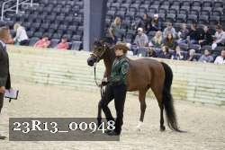 23R13_00948 thumbnail