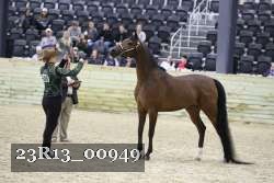 23R13_00949 thumbnail