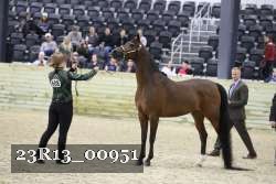 23R13_00951 thumbnail
