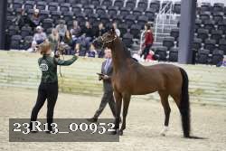 23R13_00952 thumbnail