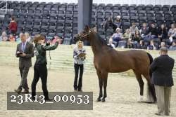 23R13_00953 thumbnail