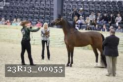 23R13_00955 thumbnail