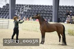 23R13_00958 thumbnail