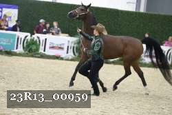 23R13_00959 thumbnail