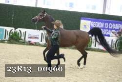 23R13_00960 thumbnail