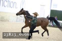 23R13_00961 thumbnail