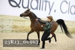 23R13_00963 thumbnail