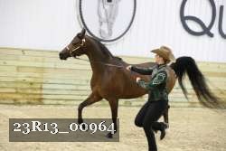 23R13_00964 thumbnail