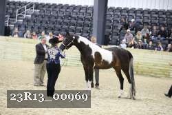 23R13_00969 thumbnail