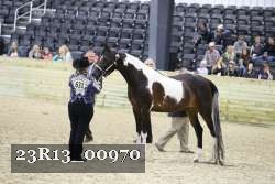 23R13_00970 thumbnail