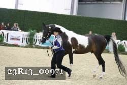 23R13_00971 thumbnail