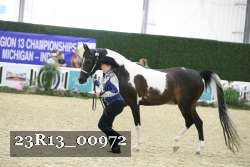 23R13_00972 thumbnail