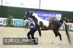 23R13_00973 thumbnail