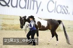 23R13_00974 thumbnail