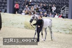 23R13_00979 thumbnail