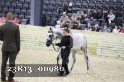 23R13_00980 thumbnail
