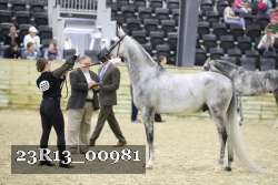 23R13_00981 thumbnail