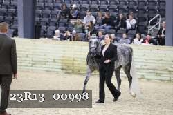 23R13_00998 thumbnail