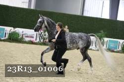 23R13_01006 thumbnail