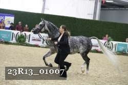 23R13_01007 thumbnail