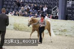 23R13_01031 thumbnail