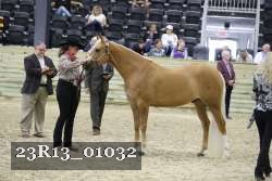 23R13_01032 thumbnail
