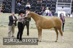 23R13_01033 thumbnail
