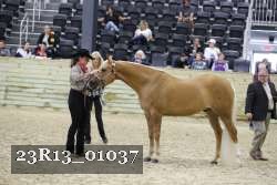 23R13_01037 thumbnail
