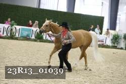 23R13_01039 thumbnail