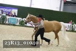 23R13_01040 thumbnail
