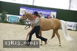 23R13_01041 thumbnail