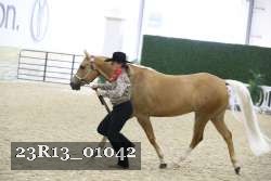 23R13_01042 thumbnail