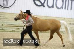 23R13_01043 thumbnail
