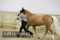 23R13_01045 thumbnail