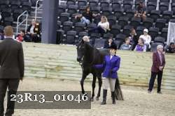 23R13_01046 thumbnail