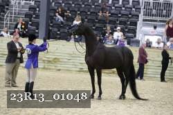 23R13_01048 thumbnail
