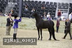 23R13_01051 thumbnail