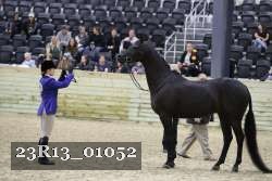 23R13_01052 thumbnail
