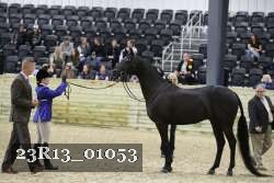 23R13_01053 thumbnail