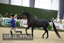 23R13_01054 thumbnail