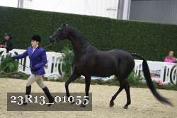 23R13_01055 thumbnail