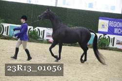 23R13_01056 thumbnail