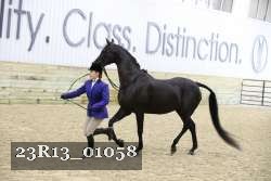 23R13_01058 thumbnail
