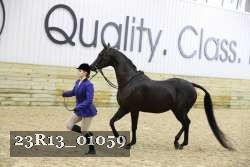 23R13_01059 thumbnail