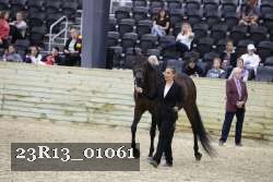 23R13_01061 thumbnail