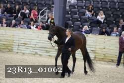 23R13_01062 thumbnail