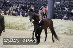 23R13_01063 thumbnail
